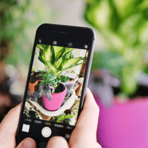 Explorando la Naturaleza: Apps para Reconocer Tipos de Plantas