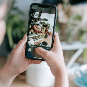 Descubre el Mundo Vegetal con Esta App