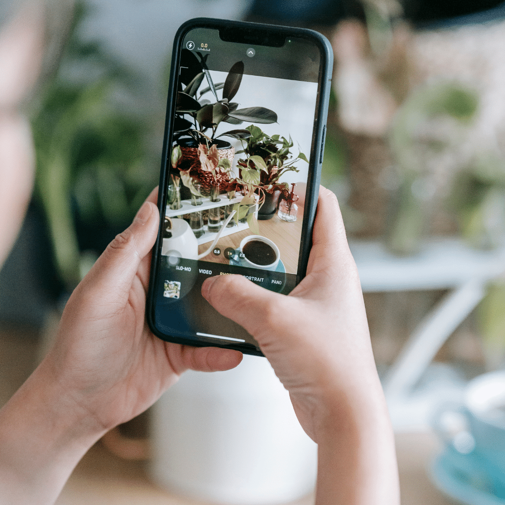 Descubre el Mundo Vegetal con Esta App