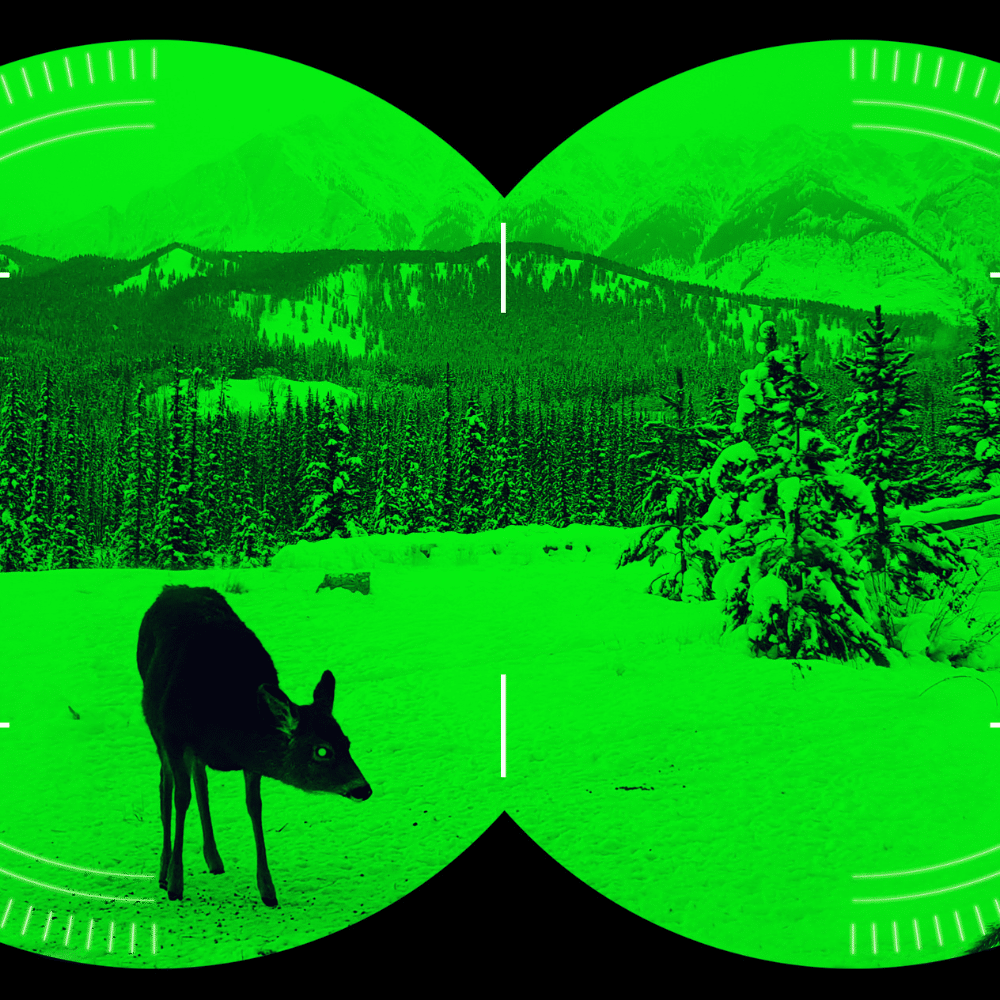 Explorando la Oscuridad con Night Eyes