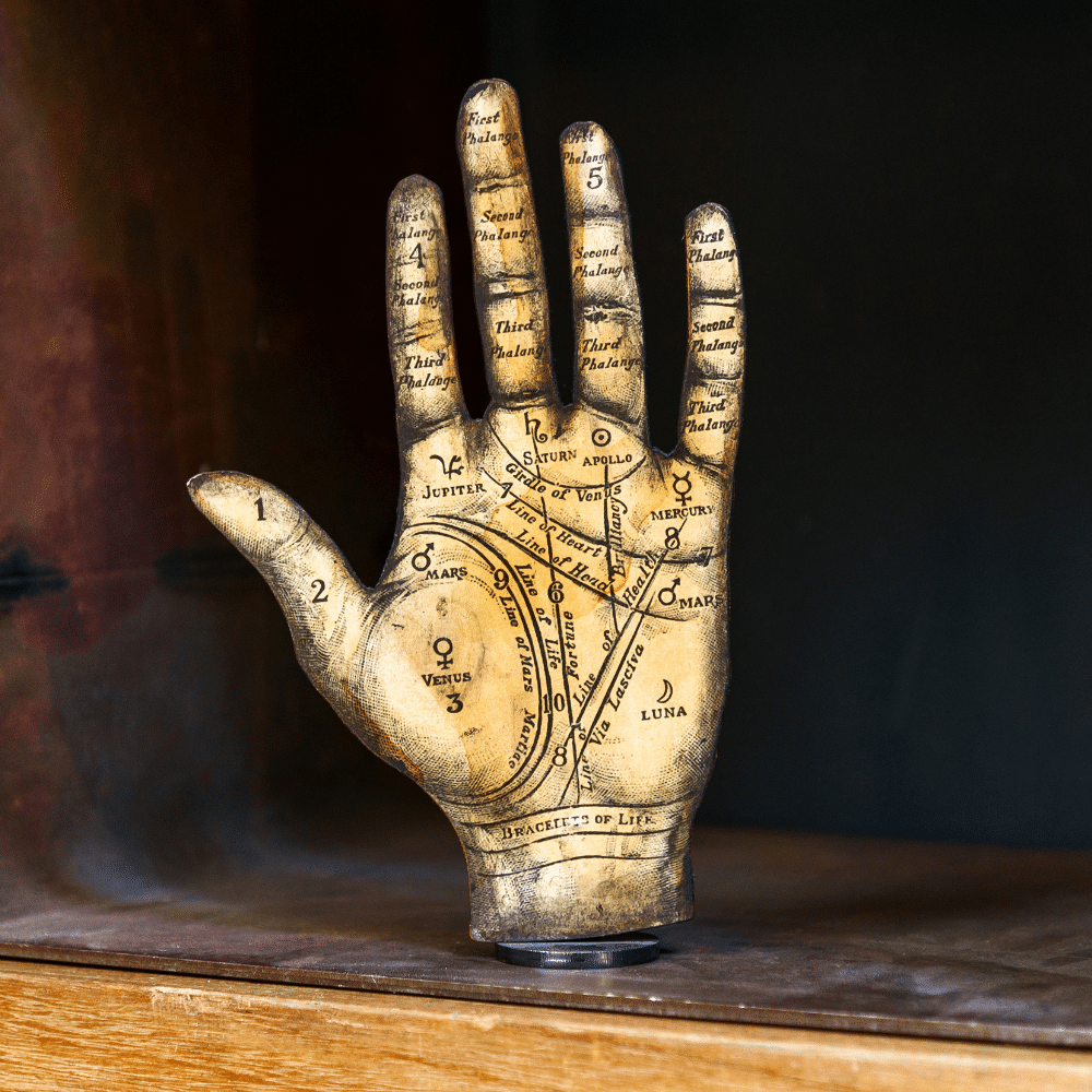 Descifrando tu Futuro con la App de Leer Mano