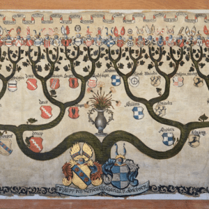 Descubre Tu Historia Familiar con MyHeritage