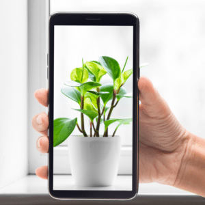 La Mejor Aplicación para la Identificación de Plantas