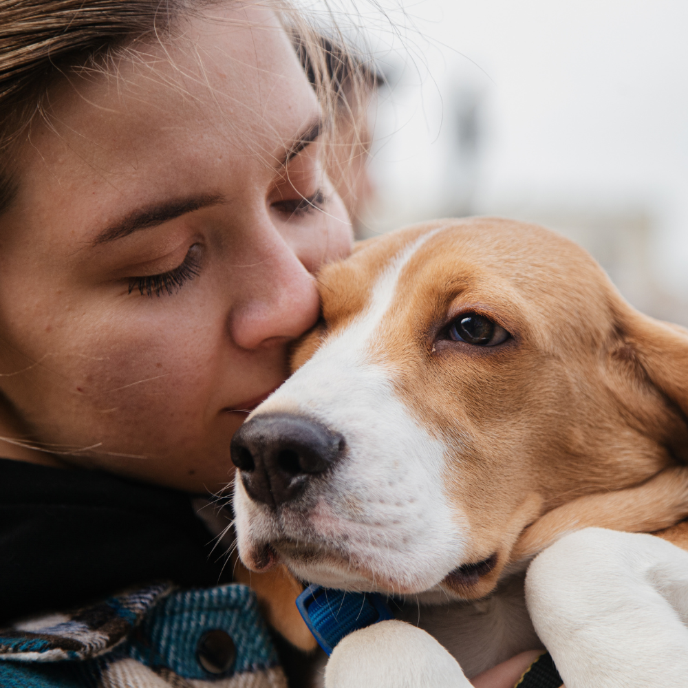 Aplicación Digital para la Adopción de Mascotas