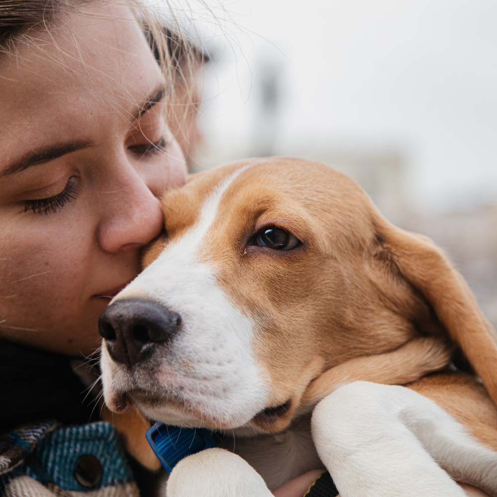 Aprende a Comunicarte con tu Mascota