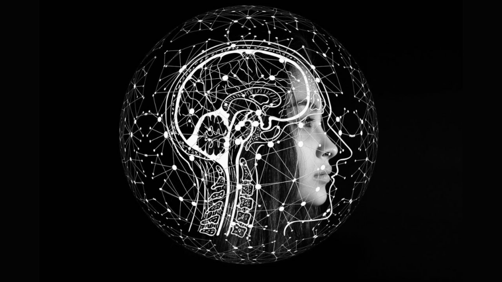 Desbloquea tu Potencial Cerebral con Test de IQ Avanzado